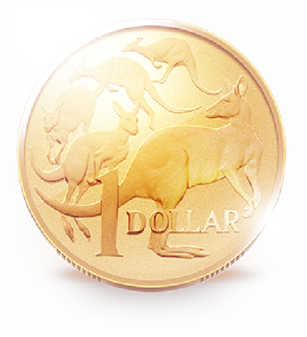 Image of a dollar coin
